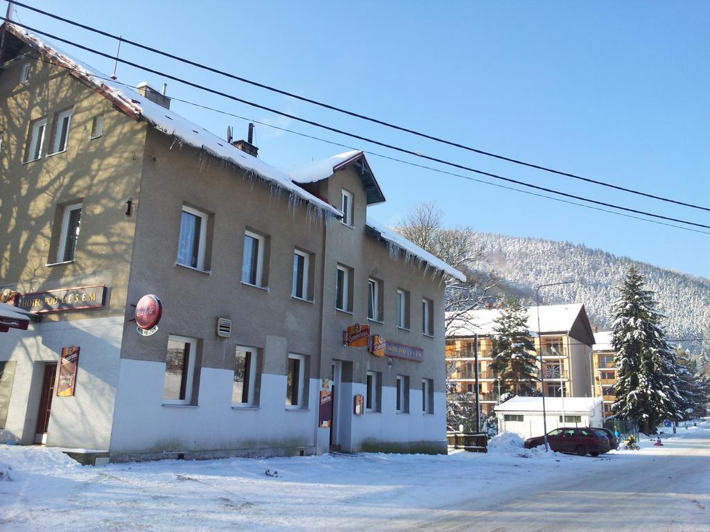Guest House Pod Lesem Merklin Exterior photo